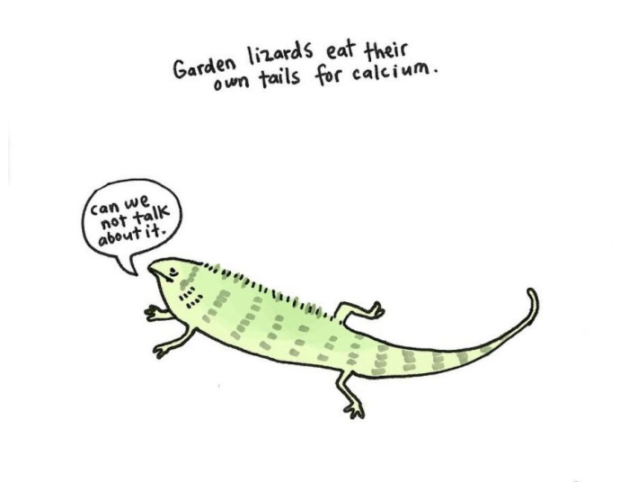 cute-illustrations-drawings-sad-animal-facts-brooke-barker-44