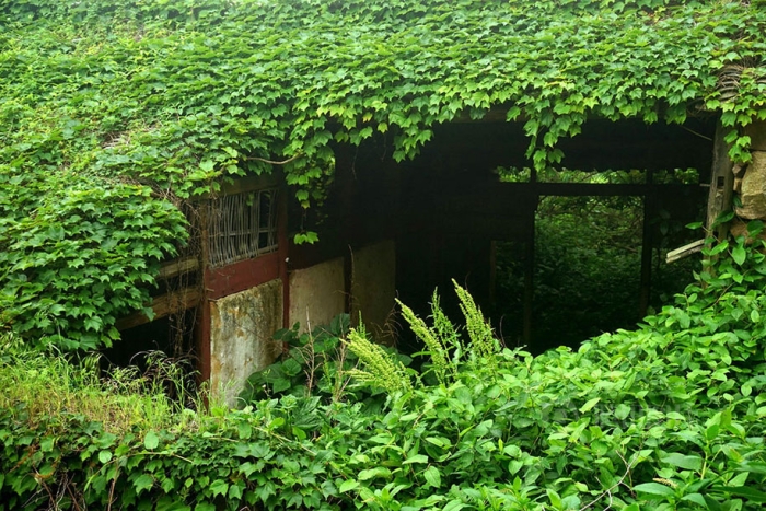 abandoned-fishing-village-goqui-island-shengsi-zhoushan-china-tang-yuhong-5