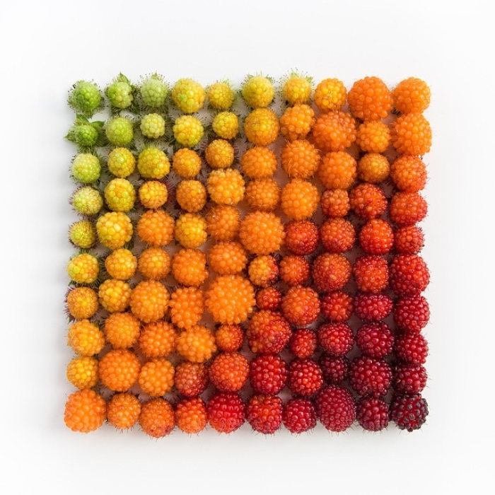 colorful-every-day-items-food-arrangements-emily-blincoe-46