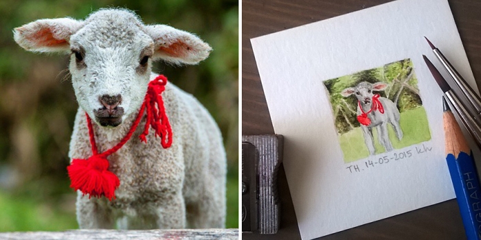 daily-instagram-inspired-art-drawings-tiny-spring-kasia-haldas-14