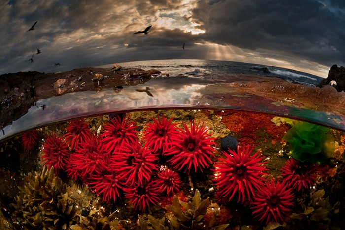 surface-half-underwater-photography-over-under-matty-smith-8