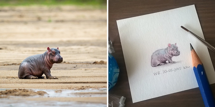 daily-instagram-inspired-art-drawings-tiny-spring-kasia-haldas-7