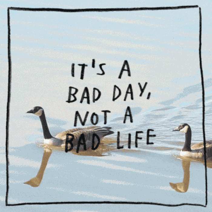 soothing-motto-mantra-gifs-adam-kurtz-1