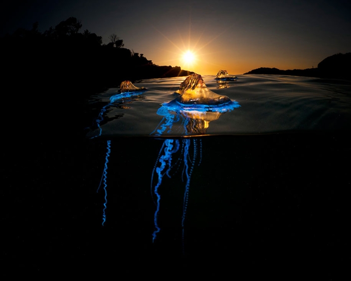 surface-half-underwater-photography-over-under-matty-smith-4