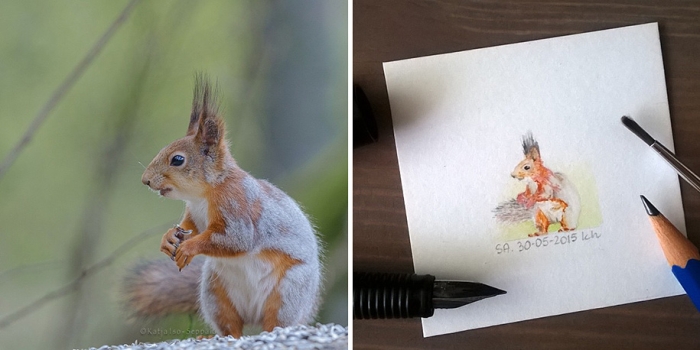 daily-instagram-inspired-art-drawings-tiny-spring-kasia-haldas-16
