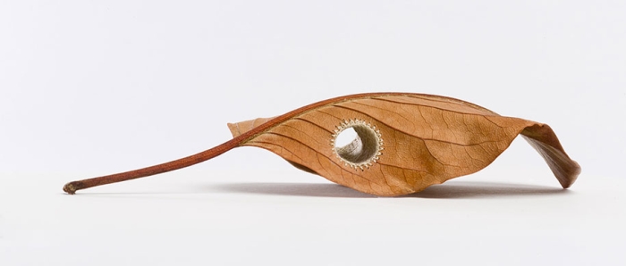 natural-art-leaves-crocheted-leaf-sculptures-susanna-bauer-9