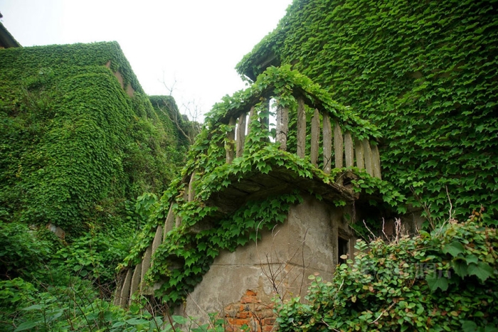 abandoned-fishing-village-goqui-island-shengsi-zhoushan-china-tang-yuhong-9