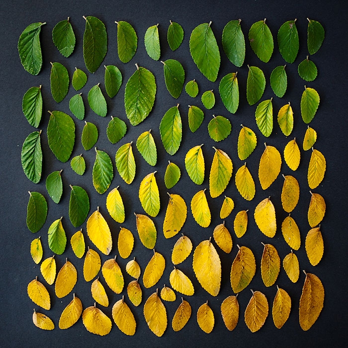 colorful-every-day-items-food-arrangements-emily-blincoe-15
