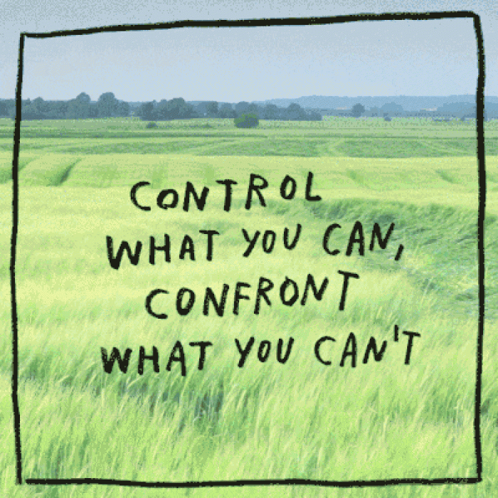 soothing-motto-mantra-gifs-adam-kurtz-5