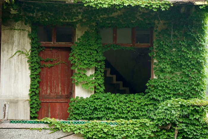 abandoned-fishing-village-goqui-island-shengsi-zhoushan-china-tang-yuhong-8
