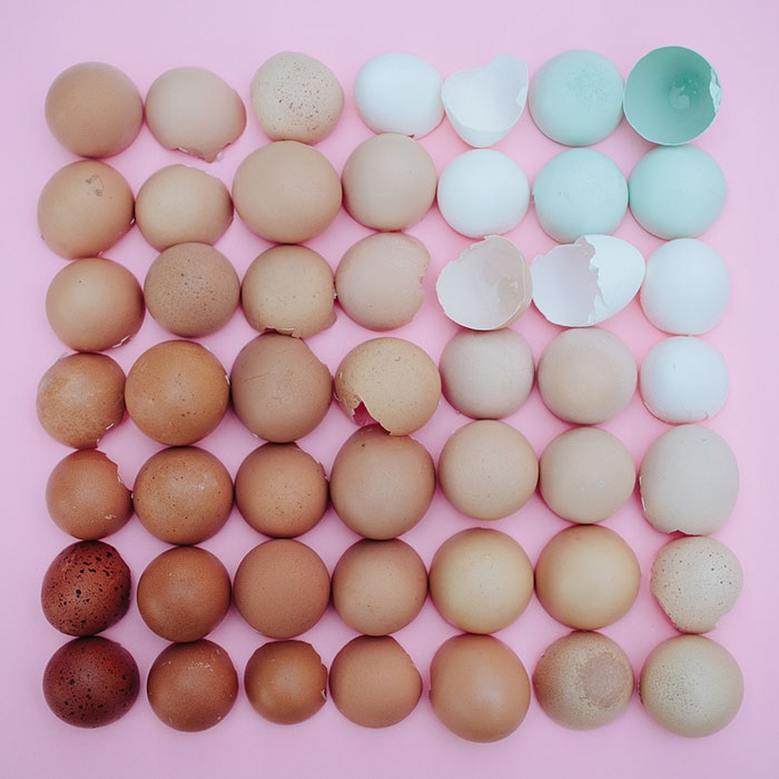 colorful-every-day-items-food-arrangements-emily-blincoe-24