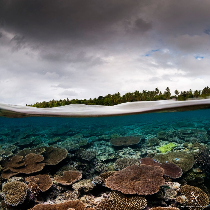 surface-half-underwater-photography-over-under-matty-smith-3