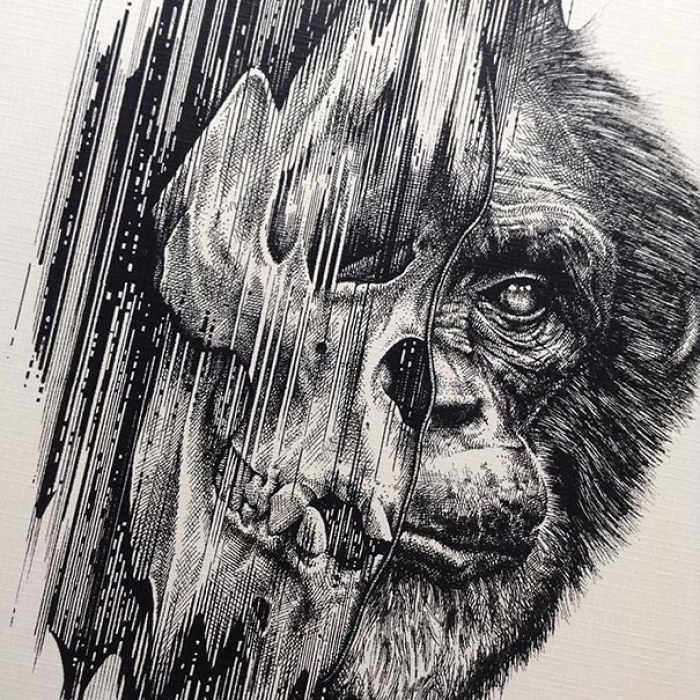 eerie-gruesome-gothic-black-white-animal-skull-art-paul-jackson-18