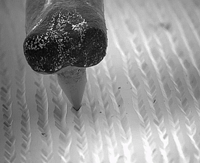 electron-microscope-slow-motion-vinyl-recording-ben-krasnow-99