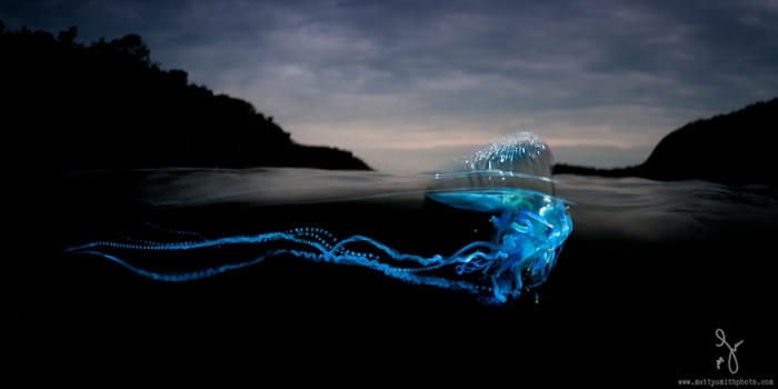 surface-half-underwater-photography-over-under-matty-smith-5