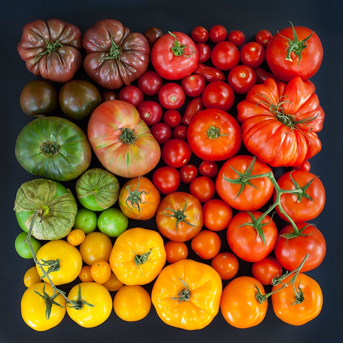colorful-every-day-items-food-arrangements-emily-blincoe-16