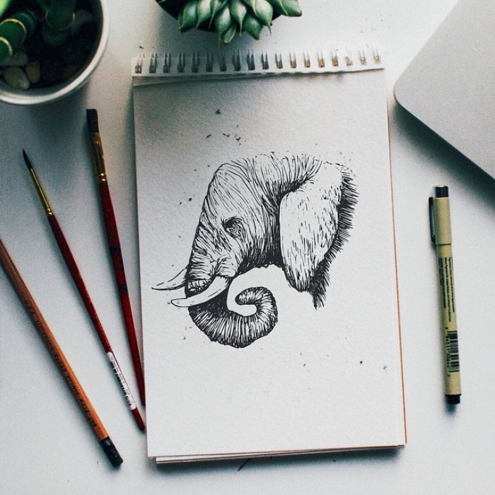 newborn-son-father-draws-animal-alphabet-letter-kyson-dana-10