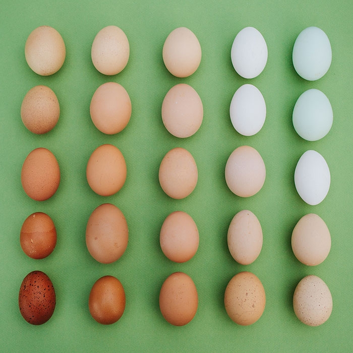 colorful-every-day-items-food-arrangements-emily-blincoe-23