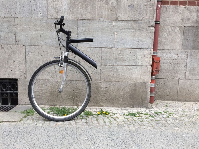 divorce-husband-cut-things-half-derjuli-germany-13