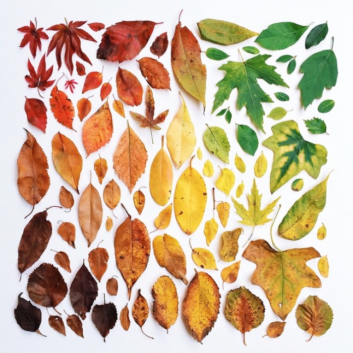 colorful-every-day-items-food-arrangements-emily-blincoe-53