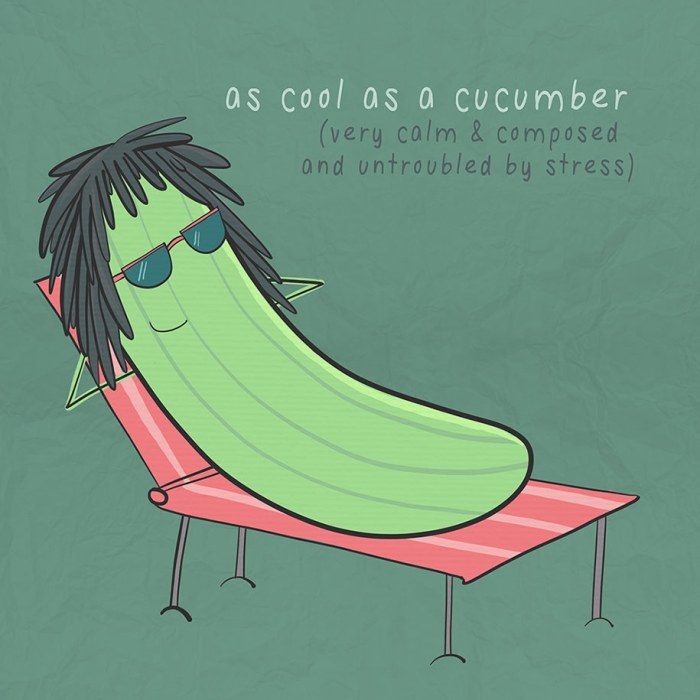 funny-english-idioms-expressions-meanings-illustrations-roisin-hahessy6