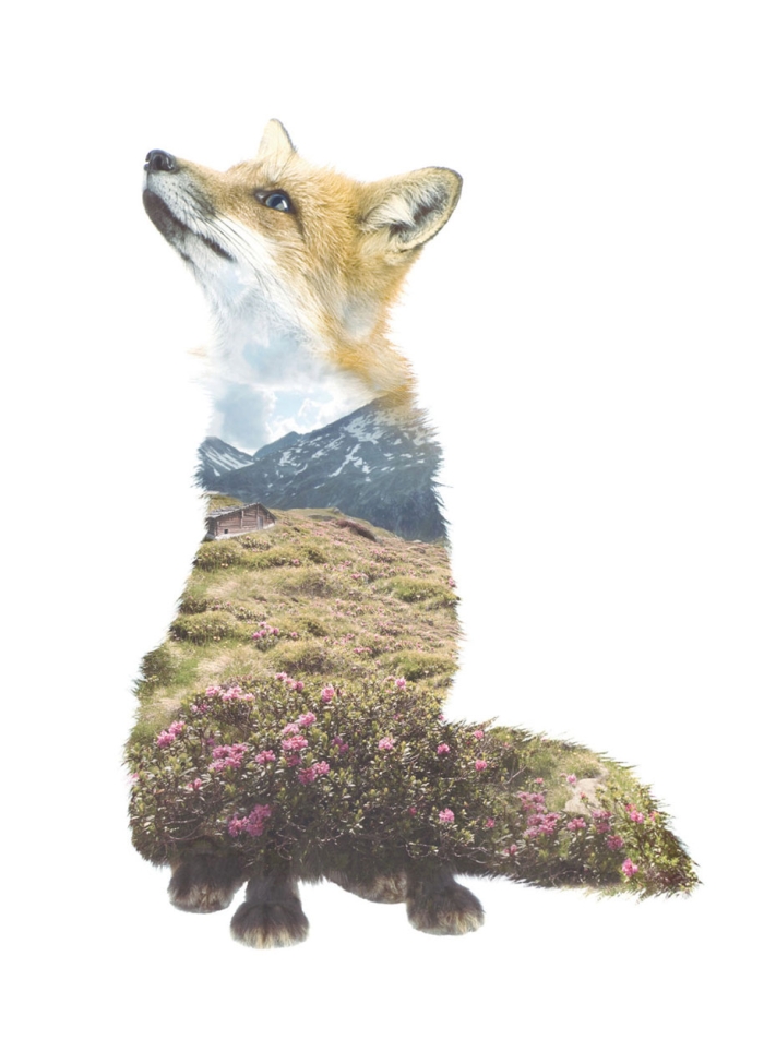 double-exposure-animal-portraits-faunascapes-whatwedo-denmark-15