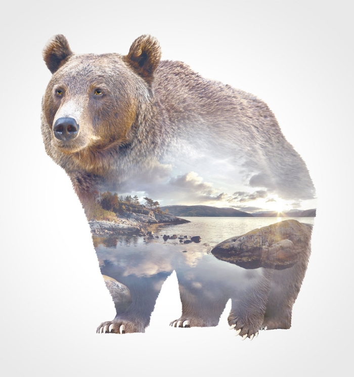 double-exposure-animal-portraits-faunascapes-whatwedo-denmark-11