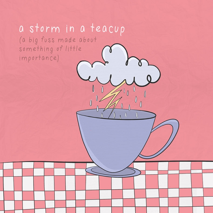funny-english-idioms-expressions-meanings-illustrations-roisin-hahessy9