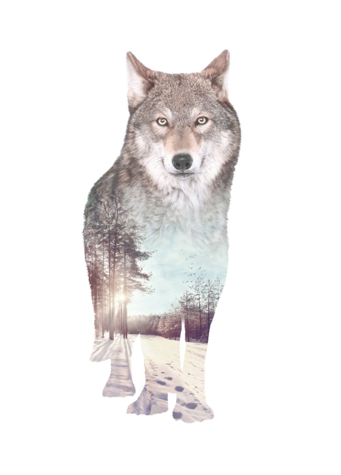 double-exposure-animal-portraits-faunascapes-whatwedo-denmark-13