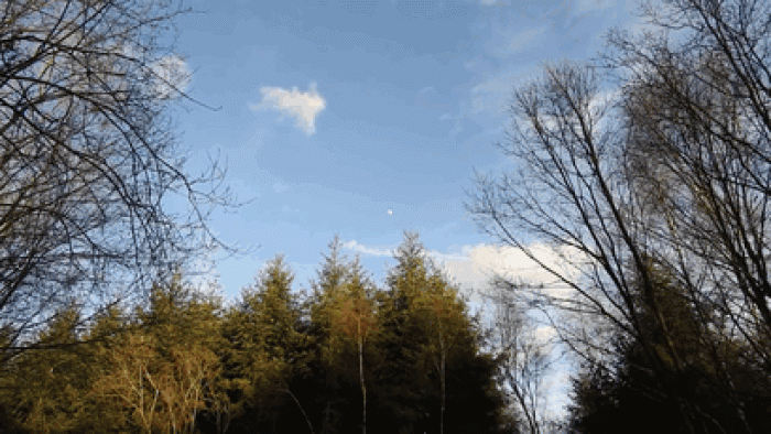 nikon-coolpix-p900-zoom-moon-movement-lothar-lenz-germany-gief
