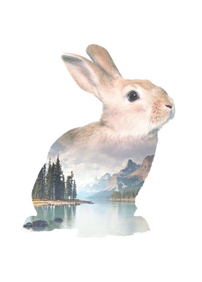 double-exposure-animal-portraits-faunascapes-whatwedo-denmark-14