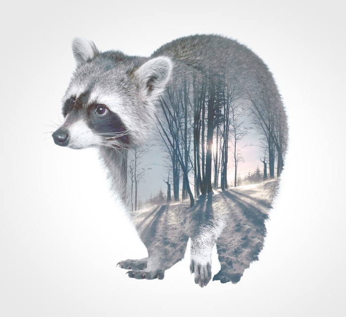 double-exposure-animal-portraits-faunascapes-whatwedo-denmark-8
