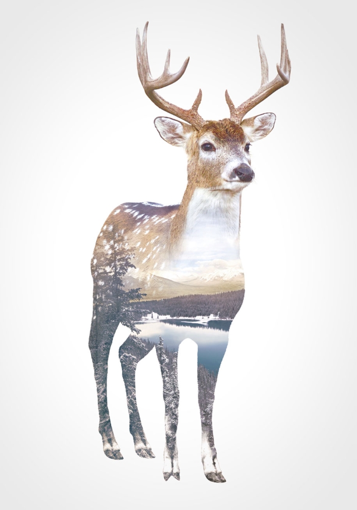 double-exposure-animal-portraits-faunascapes-whatwedo-denmark-10