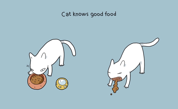 comic-illustrations-pluses-benefits-having-cat-lingvistov-8