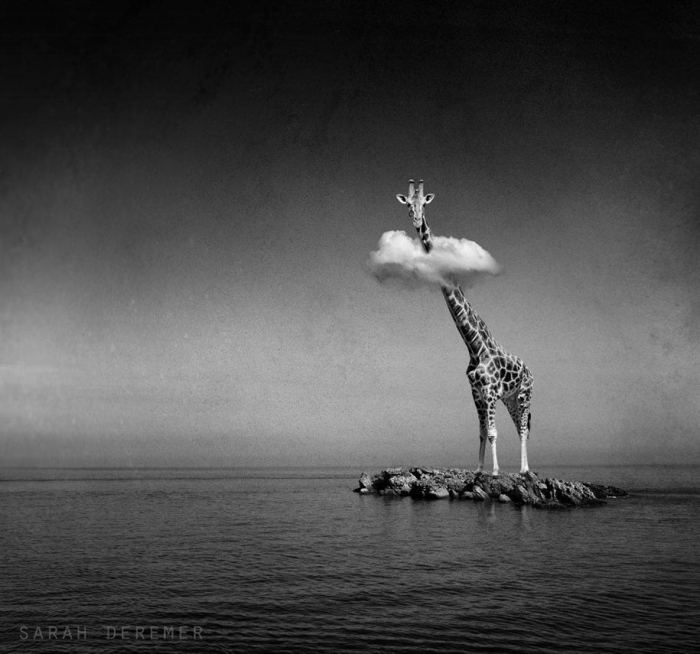 strange-animal-hybrids-surreal-experiments-sarah-deremer-8