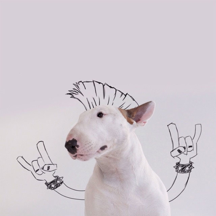 dog-interactive-illustrations-jimmy-choo-rafael-mantesso-21