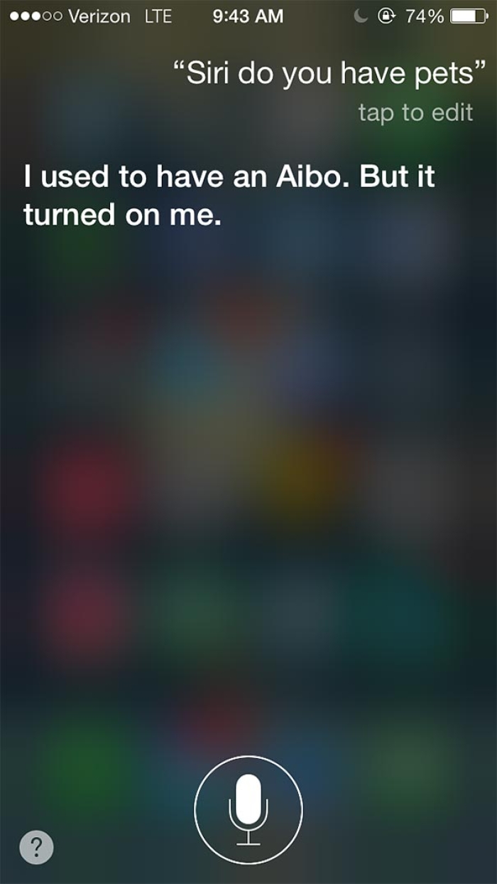 funny-honest-siri-answers-will-haskell-4