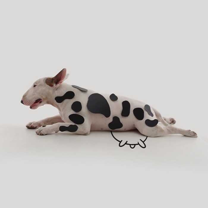 dog-interactive-illustrations-jimmy-choo-rafael-mantesso-3
