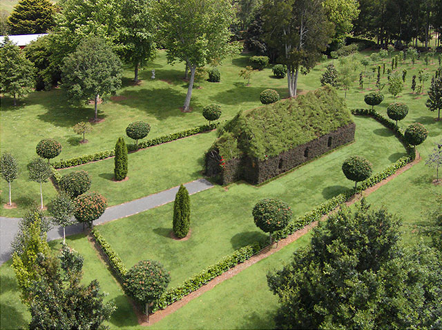 Guy Spent 4 Years Growing A Living Tree Church