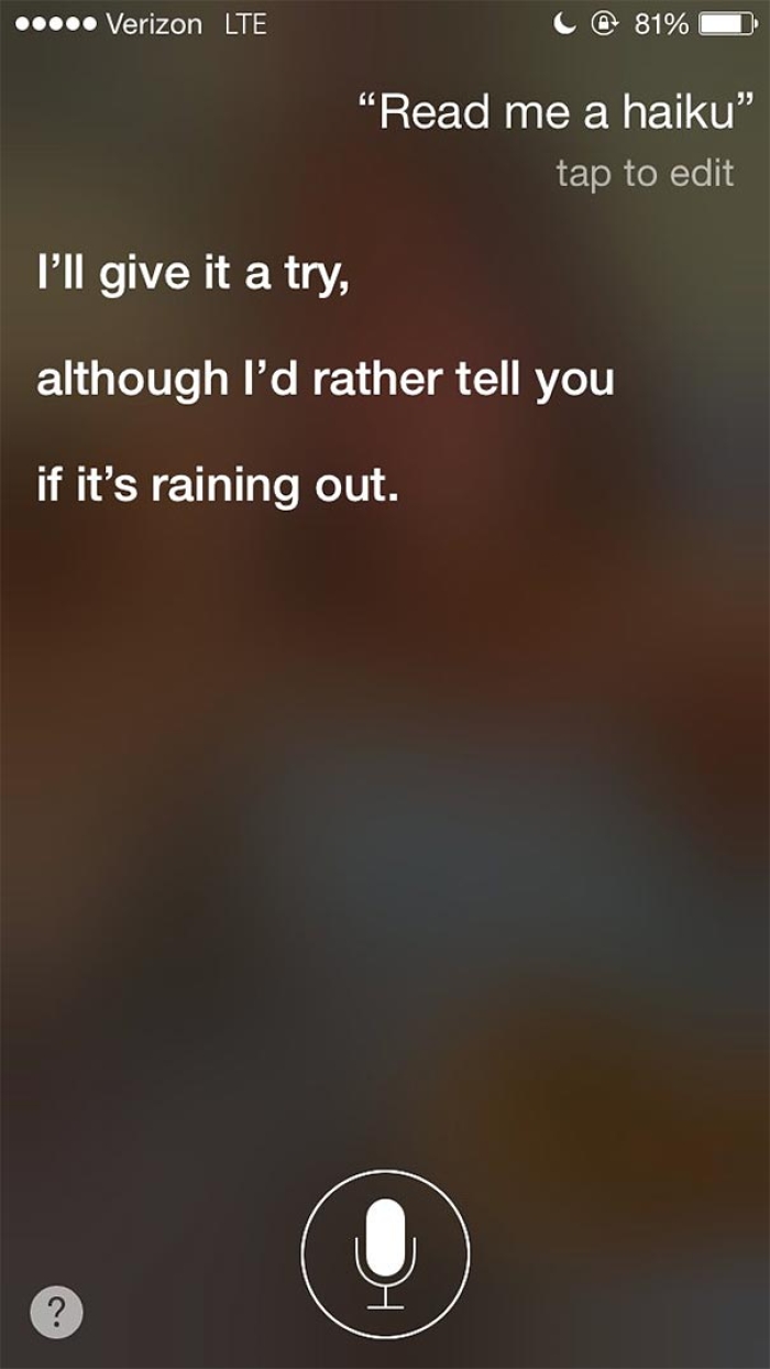 funny-honest-siri-answers-will-haskell-16