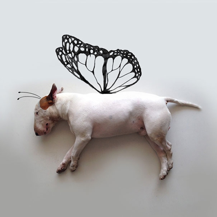 dog-interactive-illustrations-jimmy-choo-rafael-mantesso-19