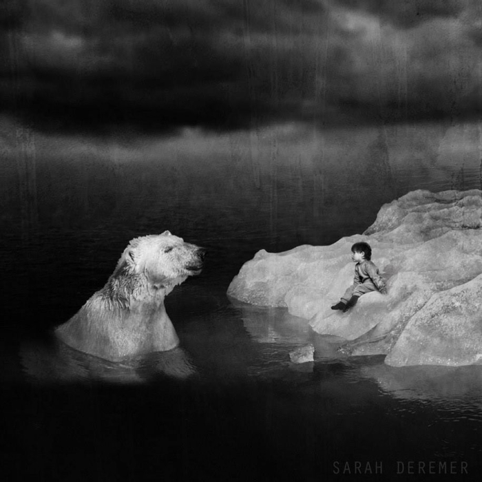 strange-animal-hybrids-surreal-experiments-sarah-deremer-9