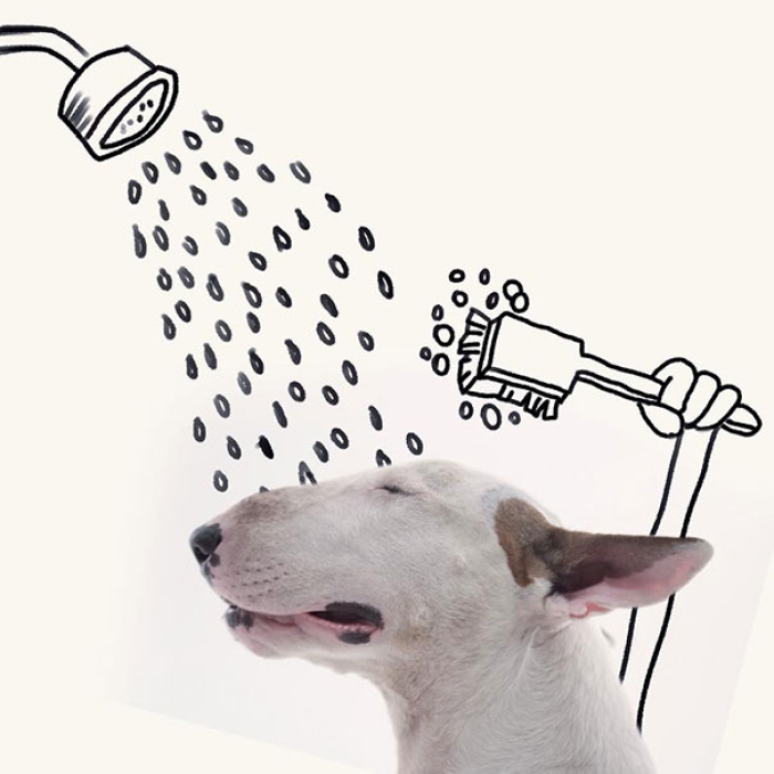 dog-interactive-illustrations-jimmy-choo-rafael-mantesso-13