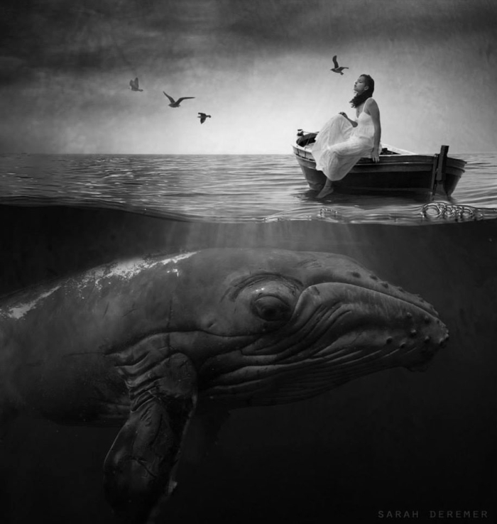 strange-animal-hybrids-surreal-experiments-sarah-deremer-1