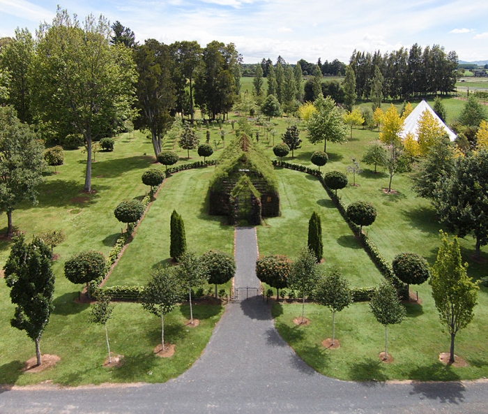 living-growing-instalation-tree-church-barry-cox-5