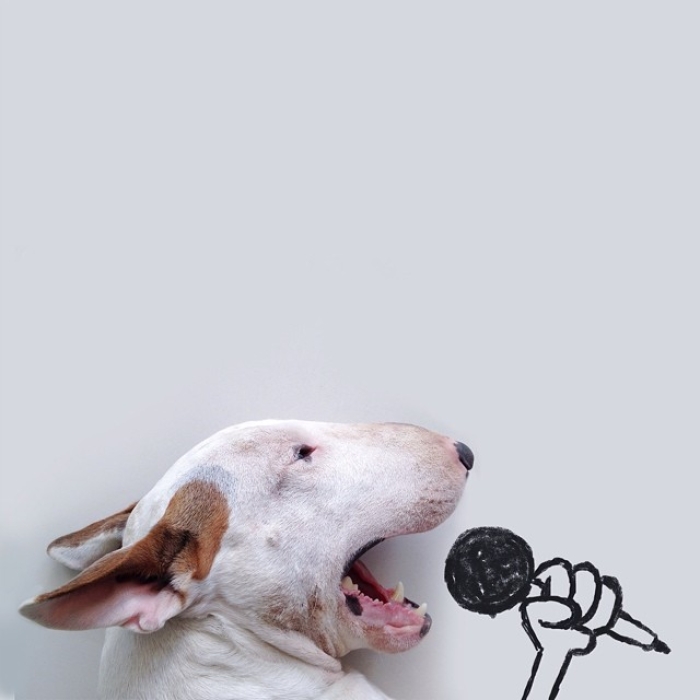 dog-interactive-illustrations-jimmy-choo-rafael-mantesso-24