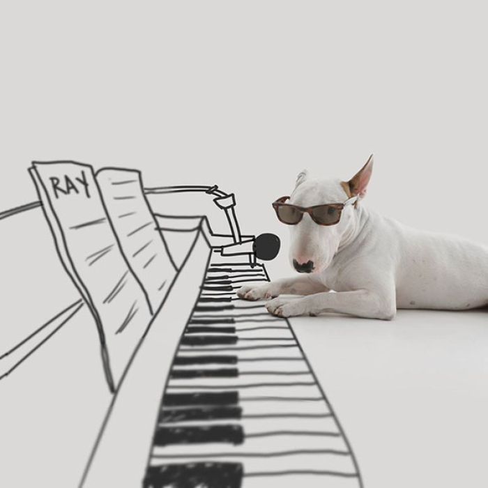 dog-interactive-illustrations-jimmy-choo-rafael-mantesso-2