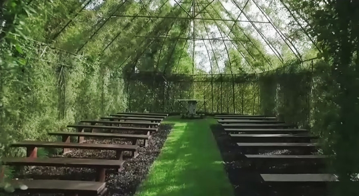 living-growing-instalation-tree-church-barry-cox-9