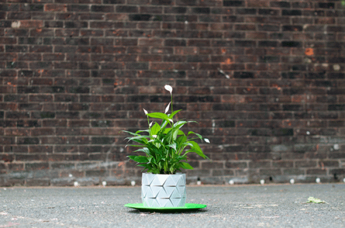 origami-plant-pot-growth-pot-bike-begum-studio-ayaskan-7