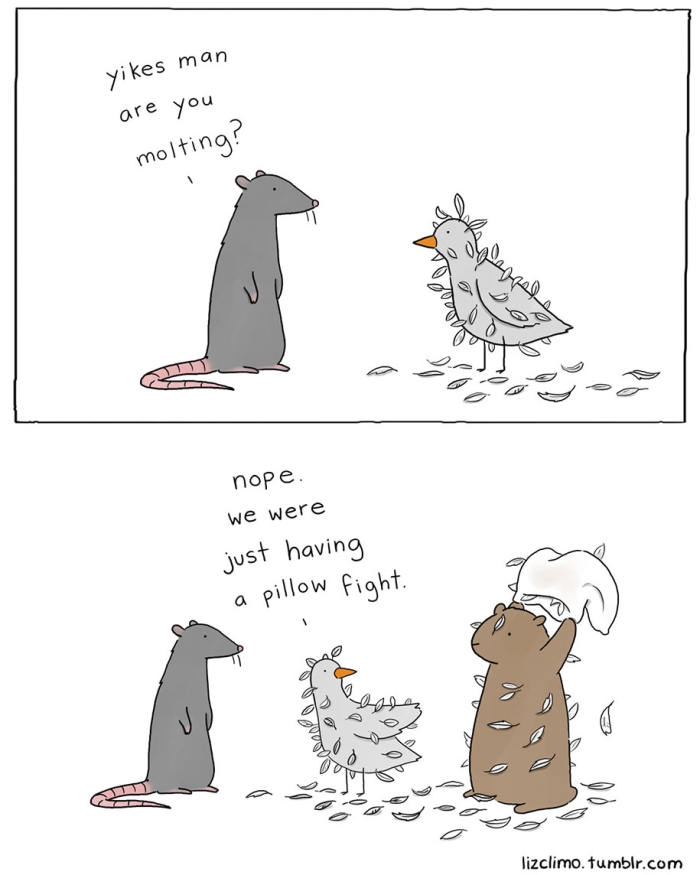 cute-friends-animal-comics-liz-climo-10
